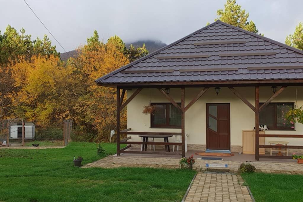 Limpedea Green House Baia Mare Exterior photo