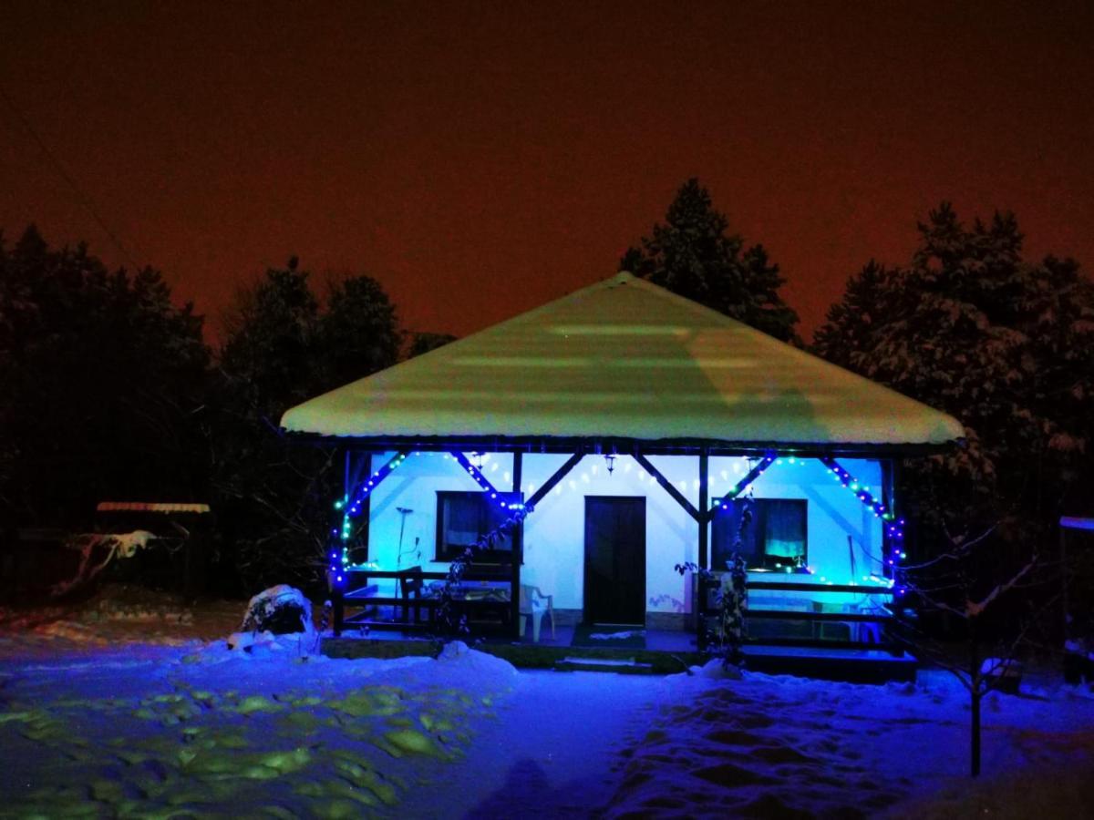 Limpedea Green House Baia Mare Exterior photo