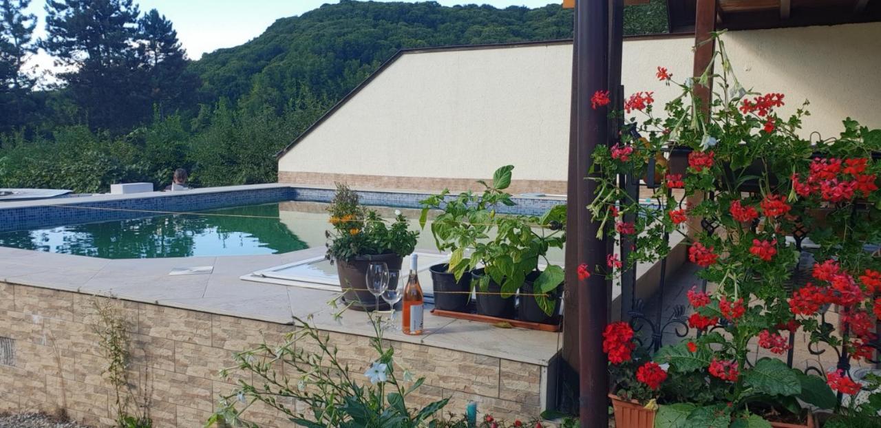 Limpedea Green House Baia Mare Exterior photo